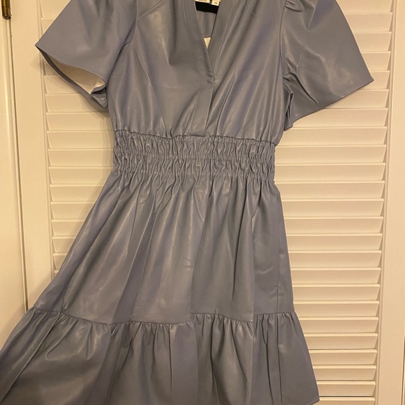 Anthropologie The Somerset Faux Leather mini dress - Picture 5 of 7